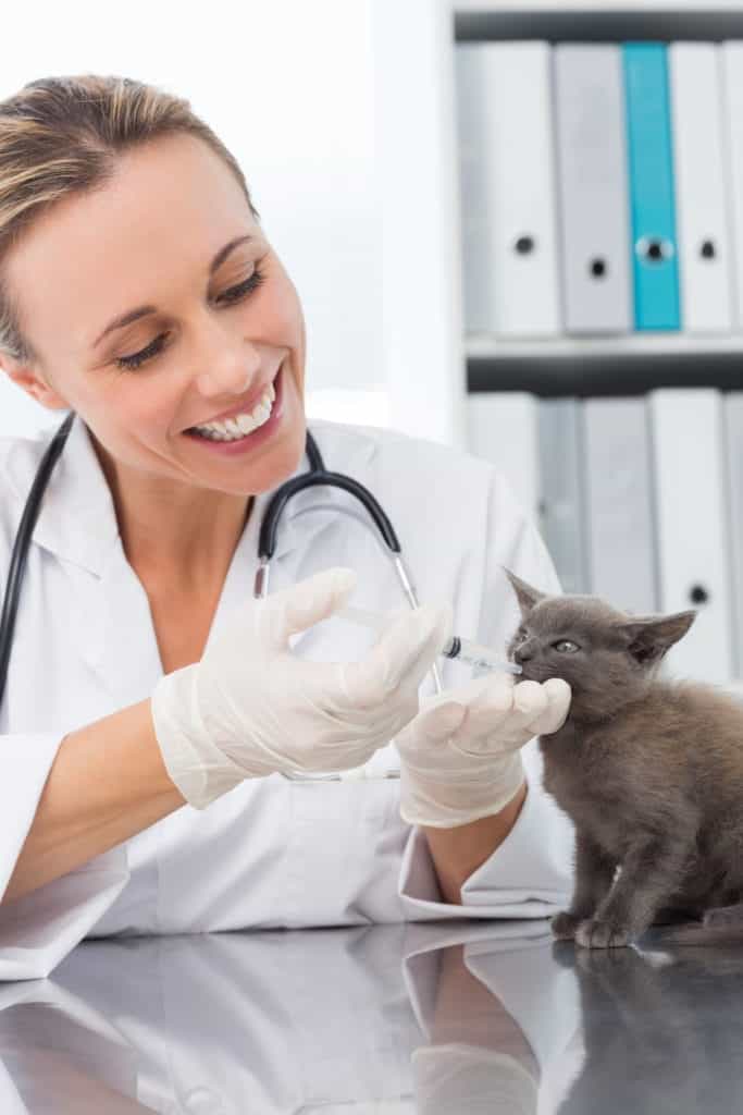 Kitten Receiving Oral Medication | Burt's Pharmacy and Compounding Lab
