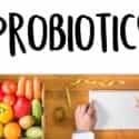 Types of Probiotics | Burt's Pharmacy and Compounding Lab