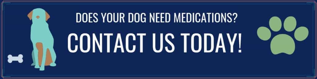 Contact Us to Learn About Our Compounded Pet Medicine | Burt's Pharmacy and Compounding Lab