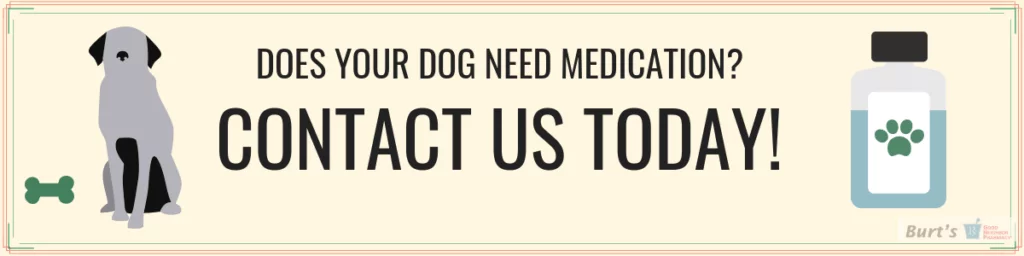 Contact Us Today for Veterinarian Compounded Medication for Pets - Burt's Pharmacy and Compounding Lab