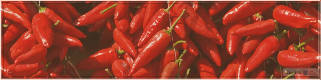 Health Benefits of Chili Peppers - Burt's Pharmacy and Compounding Lab