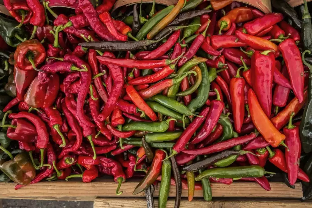 Red and Green Chili Peppers - Burt's Pharmacy and Compounding Lab