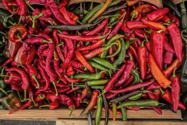 Are There Health Benefits of Chili Peppers? - Burt's Rx