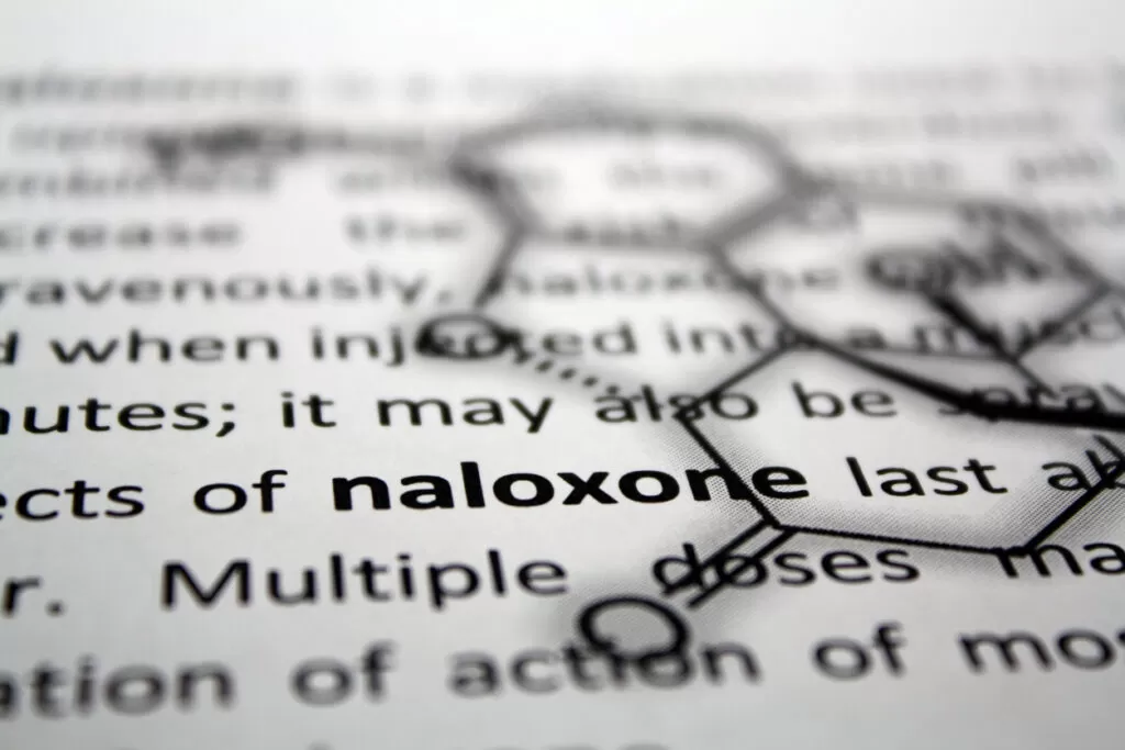 What is Naloxone? A Life-Saving Medication Everyone Should Know About - Burt's Rx