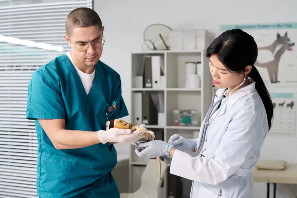 Exotic Pet Care 101: How Compounded Medications Can Support Unique Species - Burt's Rx